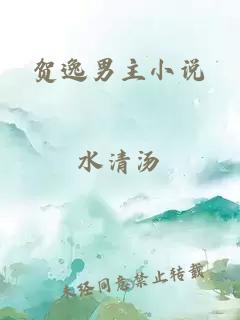 贺逸男主小说