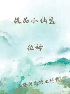 极品小仙医