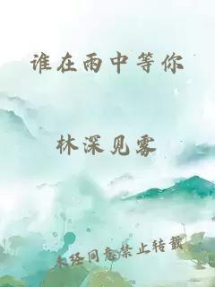 谁在雨中等你